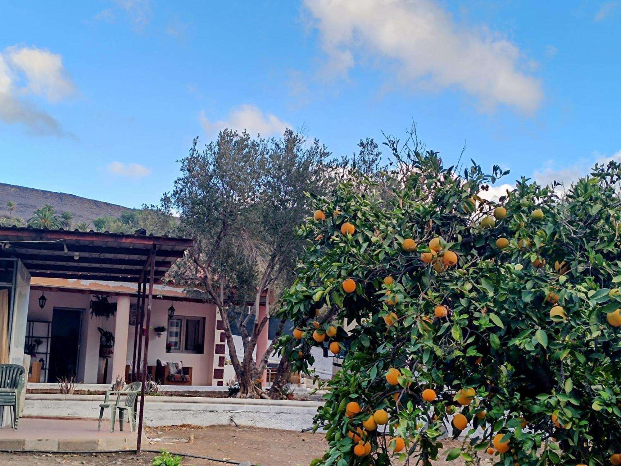 La Casa De La Pradera Acomodação com café da manhã Santa Lucia Exterior foto